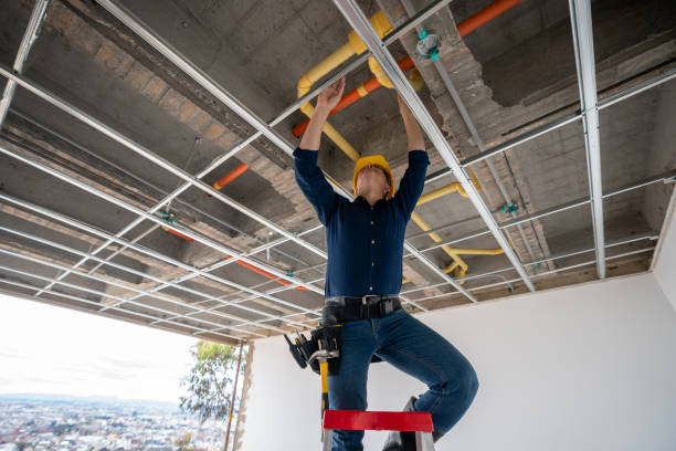 Best Plumbing Inspection Services  in Garden City, MO